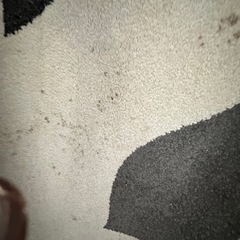 ニトリ✧ラグマットの画像