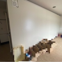 【お値引き】ホシザキ プレハブ冷蔵庫(3坪)の画像