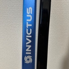掃除機　インビクタス　ワン　INVICTUS の画像