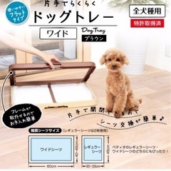 ペット トイレの画像