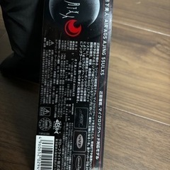 ダイワ月下美人　AIRAGS AJING 55ULXS
