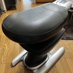 ロデオクイーン　美容家電　の画像