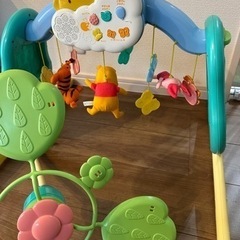 プーメリーの画像