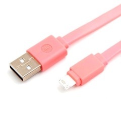 Lightning 充電器 ケーブルの画像