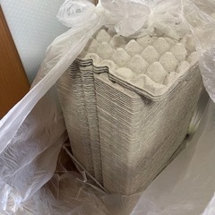 紙製　卵パック