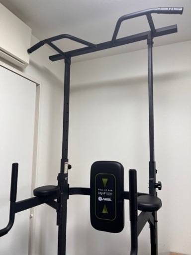 HAIGE HG-P1001  懸垂器具　ぶら下がり健康器