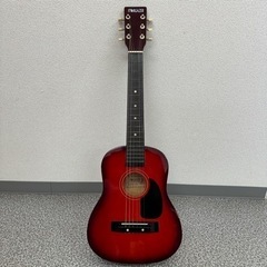 STARGAZER 　スターゲイザー  ミニ アコースティックギ...