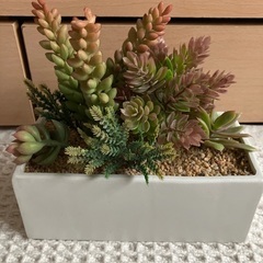 新品未使用✨抗菌機能付フェイクグリーン①　定価2000円