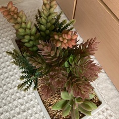 新品未使用✨抗菌機能付フェイクグリーン①　定価2000円の画像