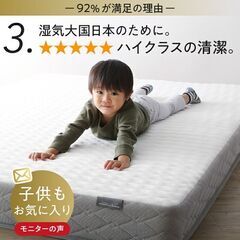 未使用訳あり　真空圧縮ロールでお届け ゾーンコイルマットレス　高通気スプリング　抗菌防臭防ダニ仕様　シングル　セミダブル　ダブルの画像