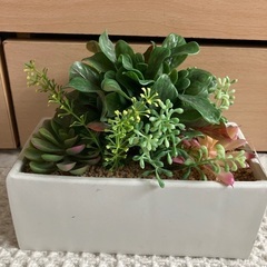 新品未使用✨抗菌機能付フェイクグリーン②定価2000円