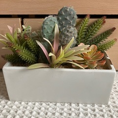 新品未使用✨抗菌機能付フェイクグリーン③定価2000円