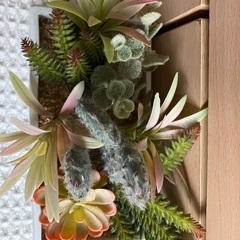 新品未使用✨抗菌機能付フェイクグリーン③定価2000円の画像