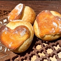 千葉県旭市パン屋オープン記念！植物販売します！アガベやサボテン！ - 旭市