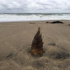 🛎️履歴書・写真不要でシフト自由！【本八幡・八千代緑が丘・飯山満...