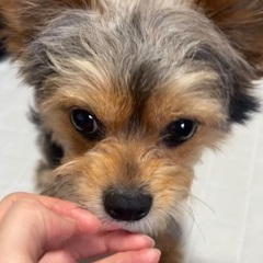 人懐こいです！