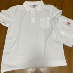 プリーツスカートの画像
