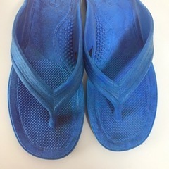 ギョサンの画像