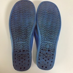 ギョサンの画像