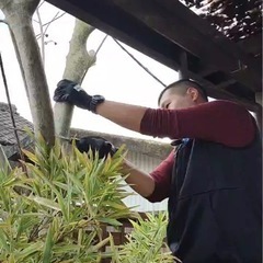 草刈り草取り、庭の整備、木の剪定