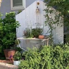あなたのお庭をお手入れします。お庭をオシャレにガーデニングしませんか？ - 剪定/造園