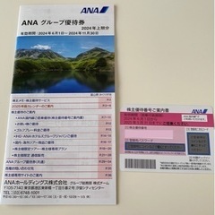 【取引完了しました】ANA株主優待／飛行機／1枚の画像