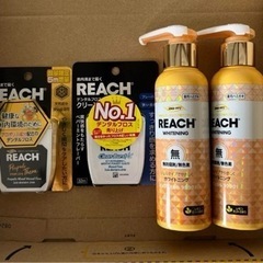 REACH リーチ 薬用歯磨き ポンプ式 レモンミント デンタルフロス ４セットの画像