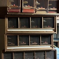 鳥飼育カゴ