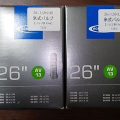 SCHWALBE(シュワルベ) 26×1.50/2.50用チュー...