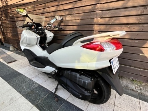 不動マジェスティ250 SG20j 自賠責付き 4D9 不動マジェスティ250 SG20j 自賠責付き 4D9 【公式通販】