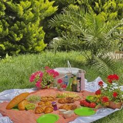昭和記念公園🌳自然の中でピクニック🍽️【立川】