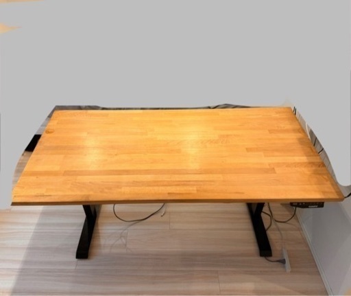 flexispot E1 電動昇降デスク天板なし、本体のみ