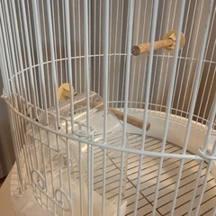 HOEIホーエイ鳥かご/R440LL-Pの画像