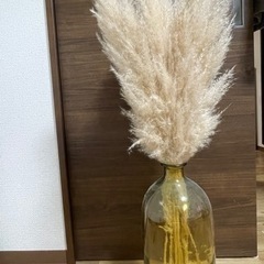 パンパスグラスと花瓶