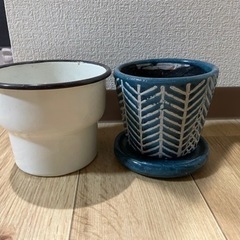 鉢植えセット