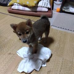 友達募集してます✨😌
