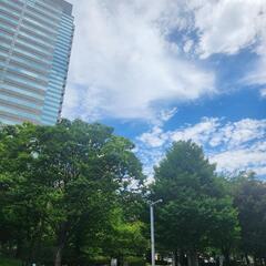 独立・起業している、またはこれからしたい人お話しましょう☘️
