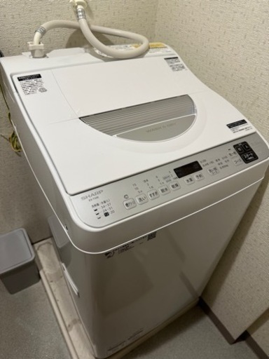 家電 生活家電 洗濯機
