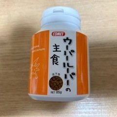 ウーパールーパーの餌