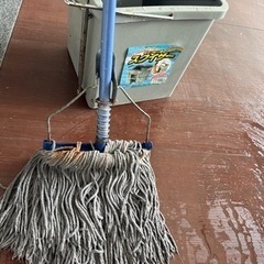 モップ&スクイザー