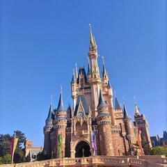 6月5日に一緒にディズニーシーに行ってくれる人を募集します✨