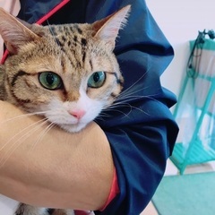 5月19日(日)🍀🐈‍⬛すみれペットクリニック様にて主催『立川地...