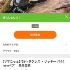 ヘラクレスリッキー144mm ペアの画像