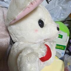 フェネックギツネ⭐フェネック⭐BIGの画像