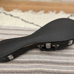 マンドリンの画像