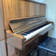 ボーカル・声楽・楽器・音大受験レッスンの画像