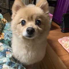 仲良くしましょう
