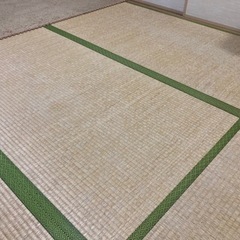 畳6畳分 厚さ60mm