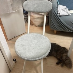 家具 椅子 チェア　5/25〜5/26引き渡し限定