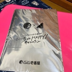 CoCo壱番屋　コラボ　欅坂46 クリアファイル　未開封品
